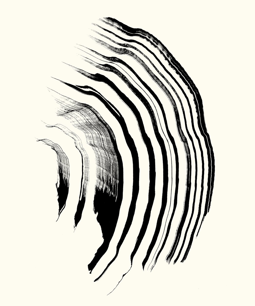  by Marco Campedelli