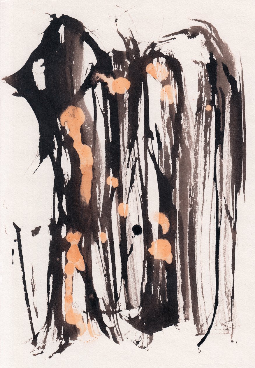  by Marco Campedelli