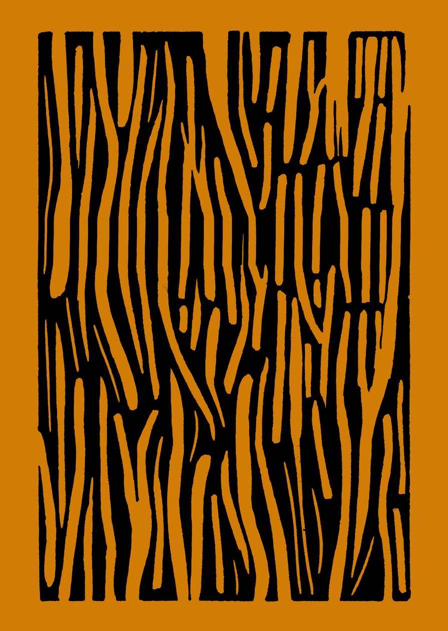  by Marco Campedelli