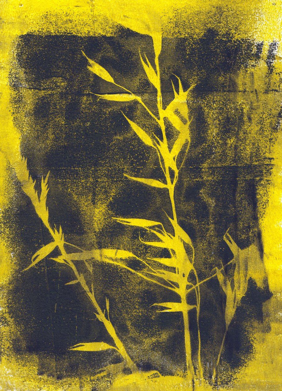  by Marco Campedelli