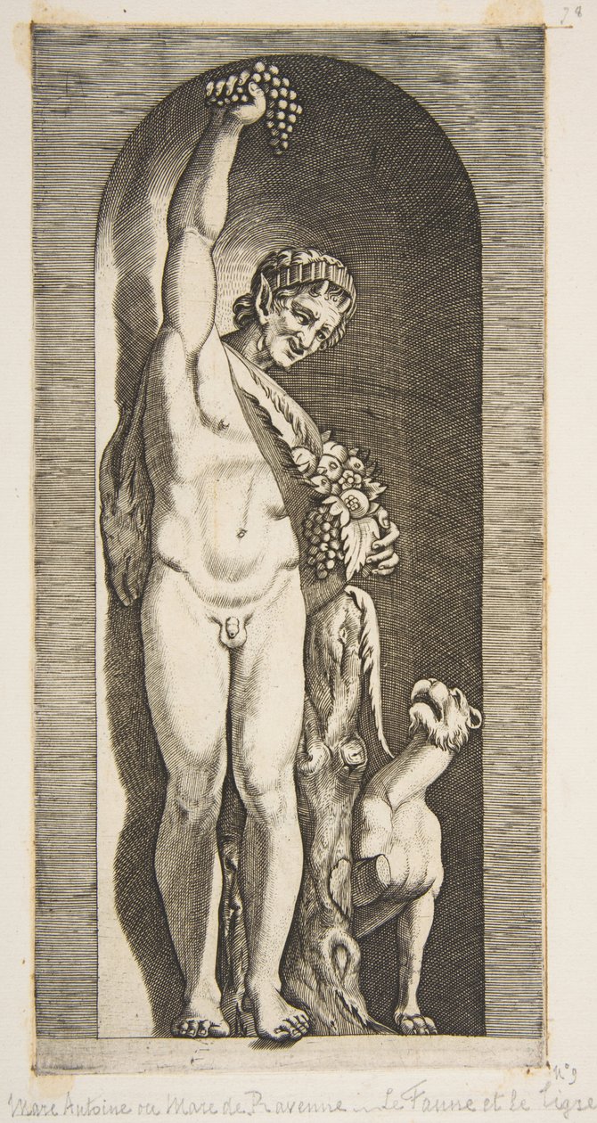 Bir niş içinde duran ve sağ eliyle bir salkım üzümü tutan bir faun ve ..., yakl. 1515-27. by Marco Dente