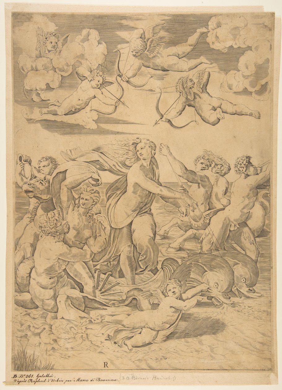 Galatea, yunuslar tarafından suyun içinden çekilen bir kabukta sürüyor, aşağıda bir aşk tanrısı ve f..., ca. 1515-27. by Marco Dente