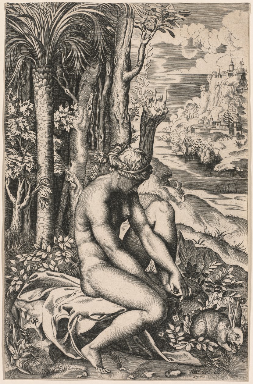 Gül Dikeniyle Yaralanmış Venüs, c. 1516. by Marco Dente