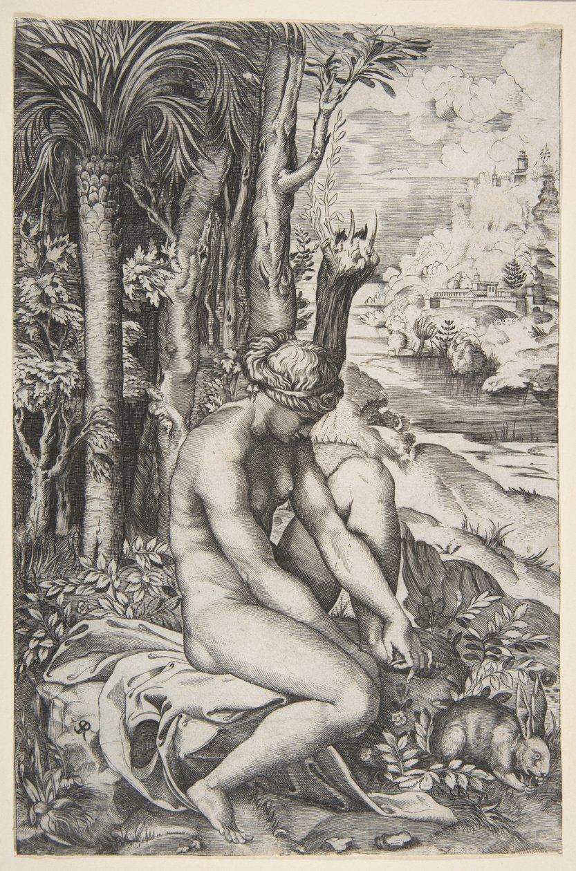 Venüs, ağaçların yanında bir bez üzerine otururken sol ayağından bir diken çıkarırken, bir ..., yakl. 1515-27. by Marco Dente
