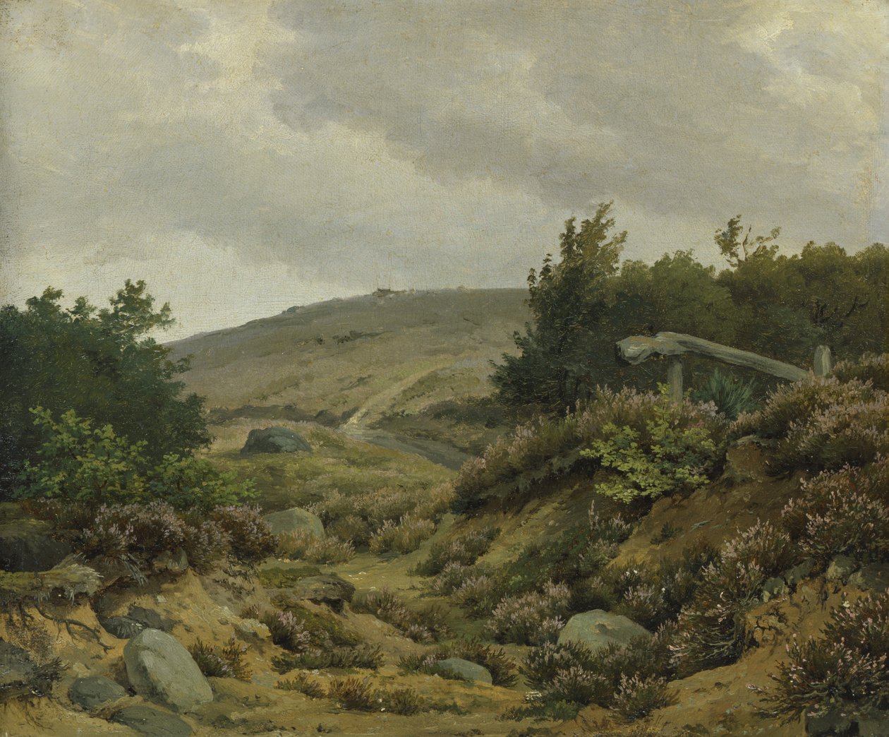 Moor