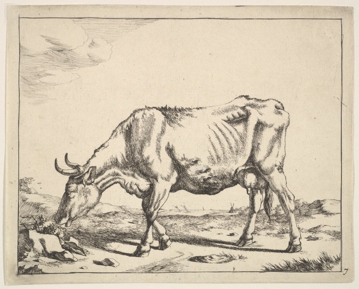 İnek, Paulus Potter