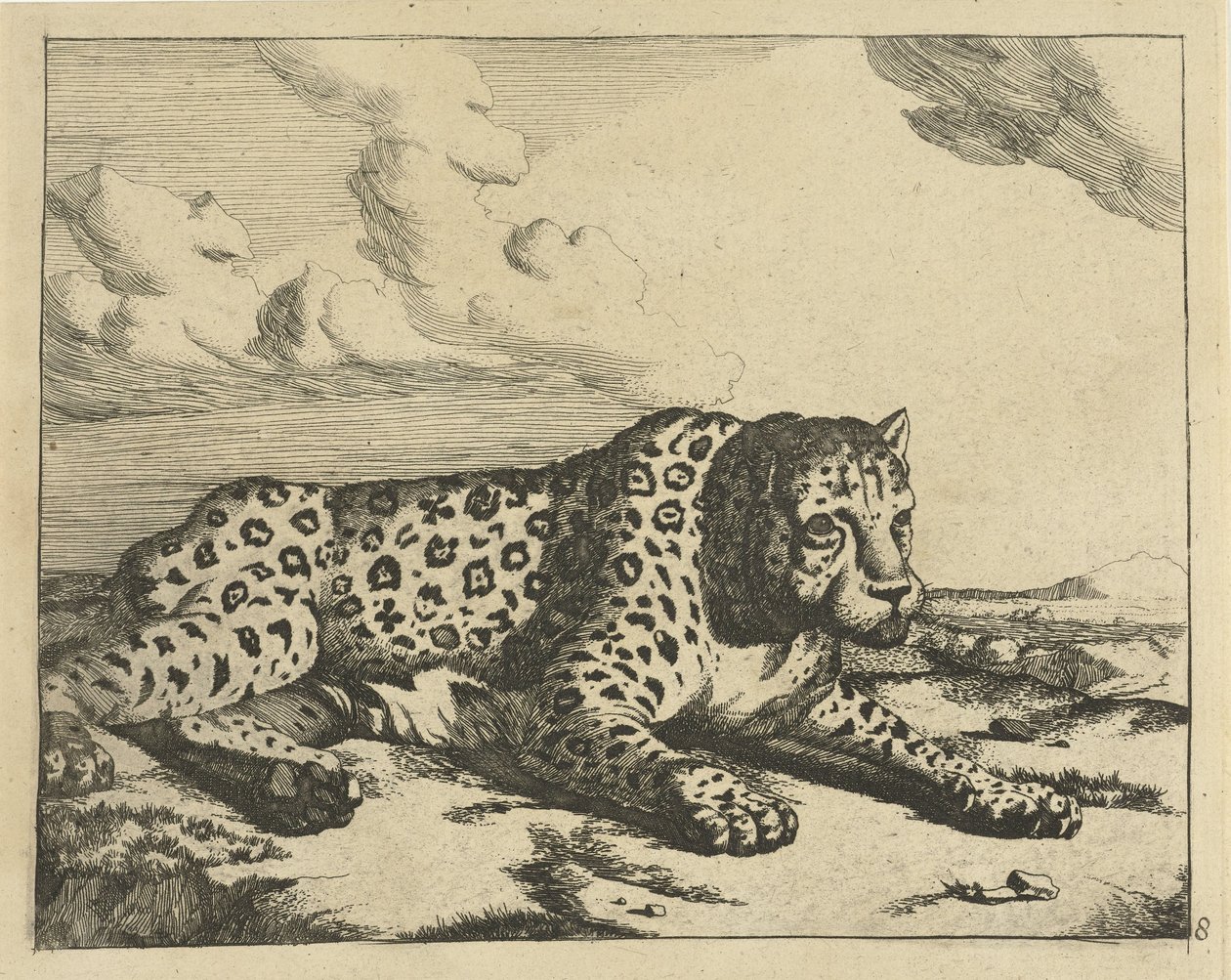Sağda yatan leopar, izleyiciye patileri Leoparlar (dizi adı) by Marcus de Bye