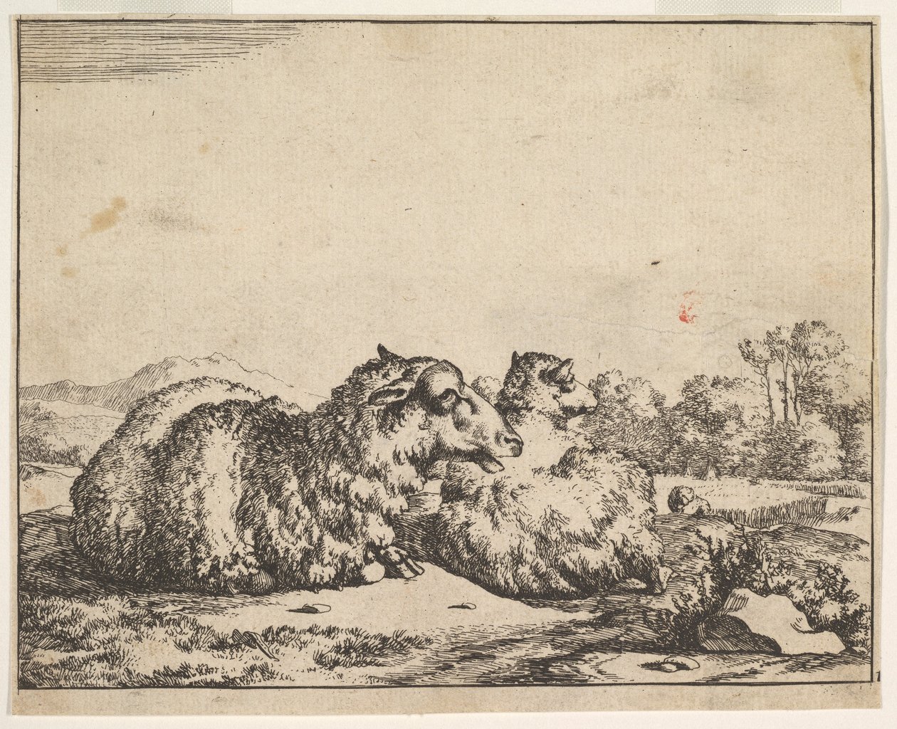 Koyun, 16 tabaklık bir setten, 1664. by Marcus de Bye
