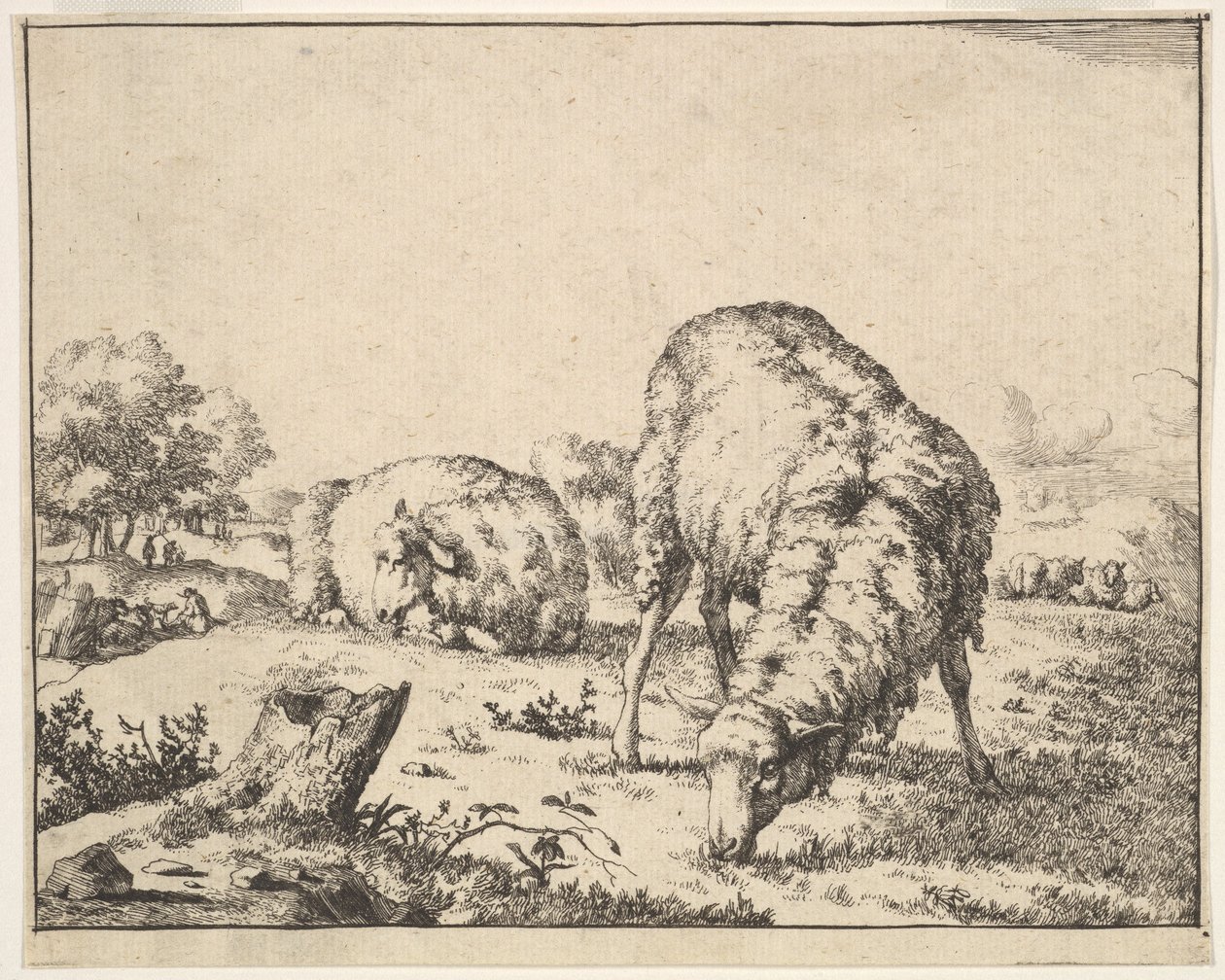 Koyun, 16 tabaklık bir setten, 1664. by Marcus de Bye