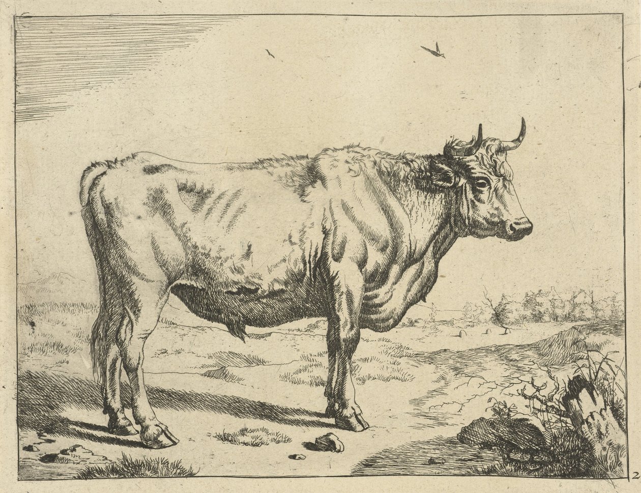 Boğa, sağ ayakta, kuşlarla birlikte Sığır (seri başlığı) by Marcus de Bye
