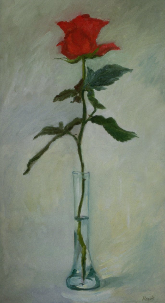 Bütün aşkım by Margaret Norris
