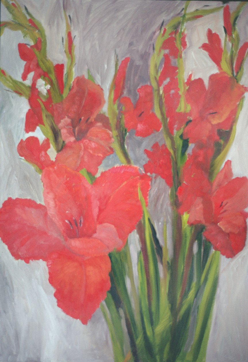 kırmızı gladioli by Margaret Norris