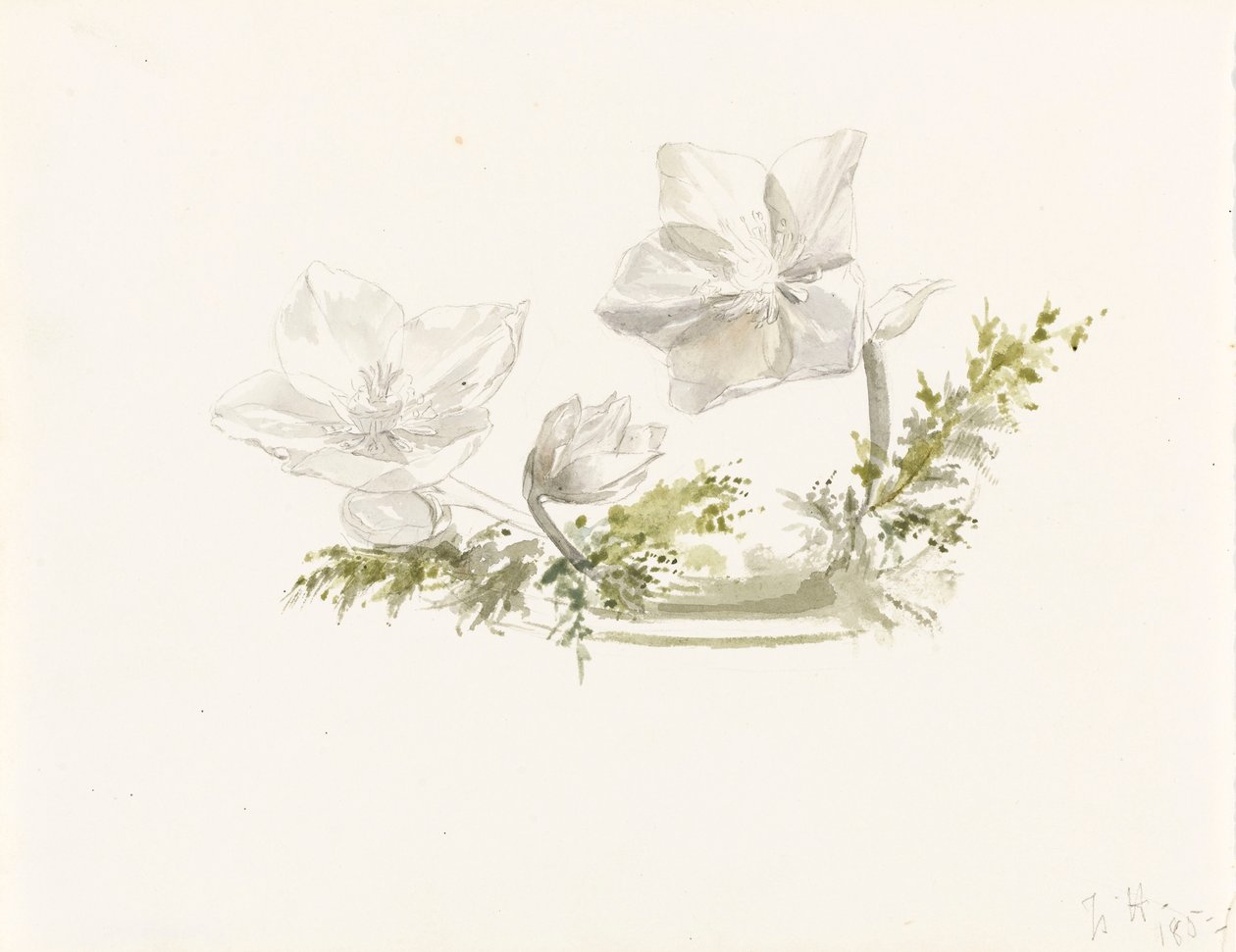  by Margaret Louisa Herschel