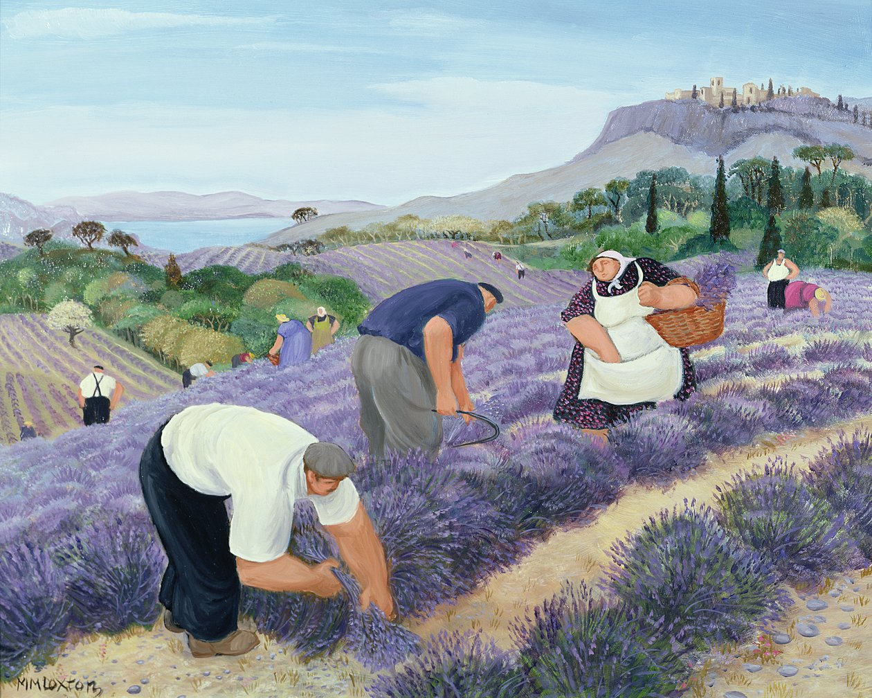 Lavanta by Margaret Loxton
