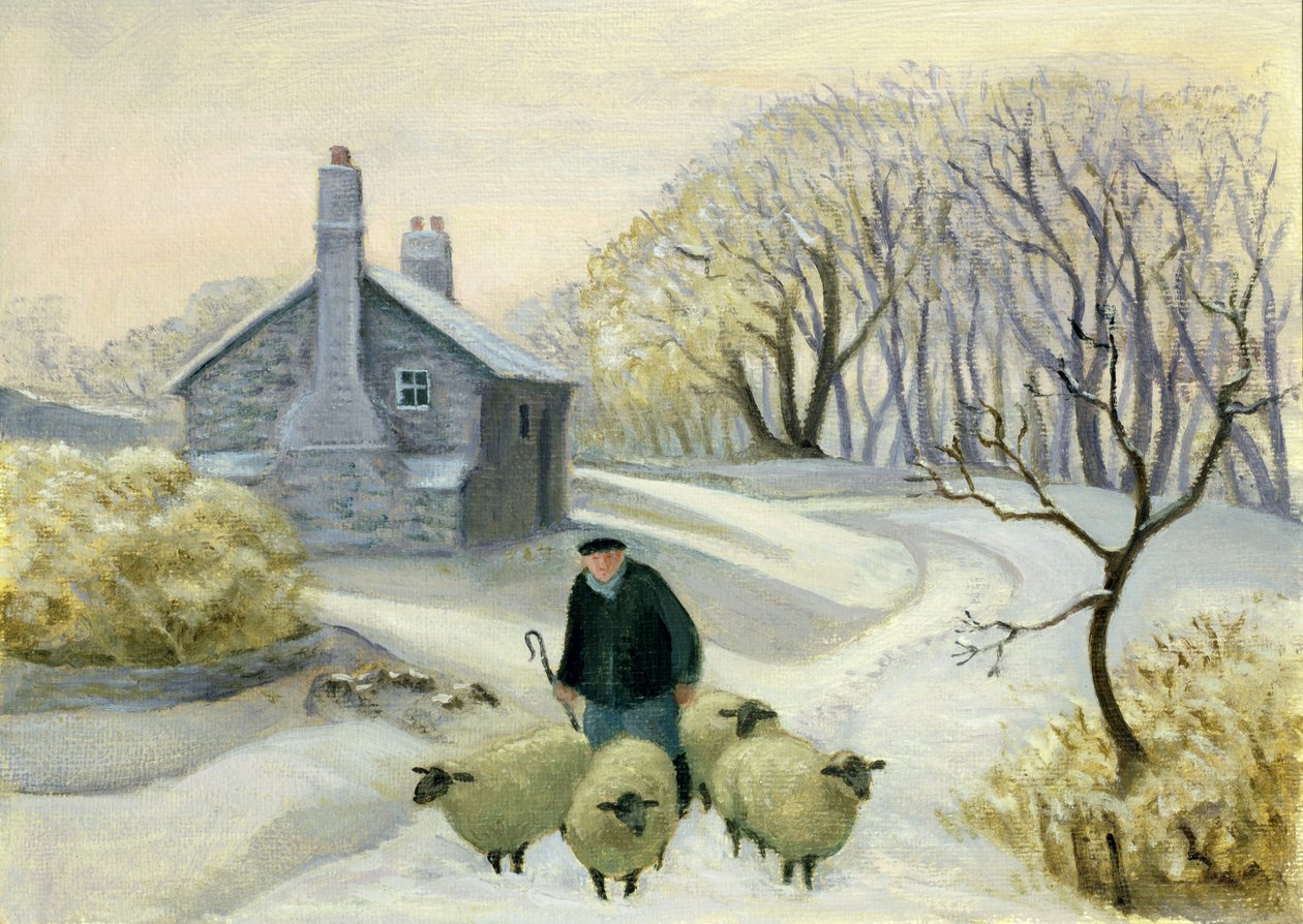 Koyunlara liderlik etmek by Margaret Loxton