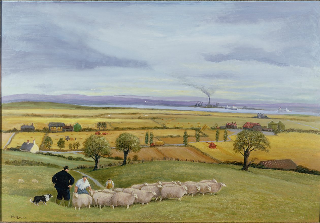 Koyun Çiftçisi, Sheppey Adası by Margaret Loxton