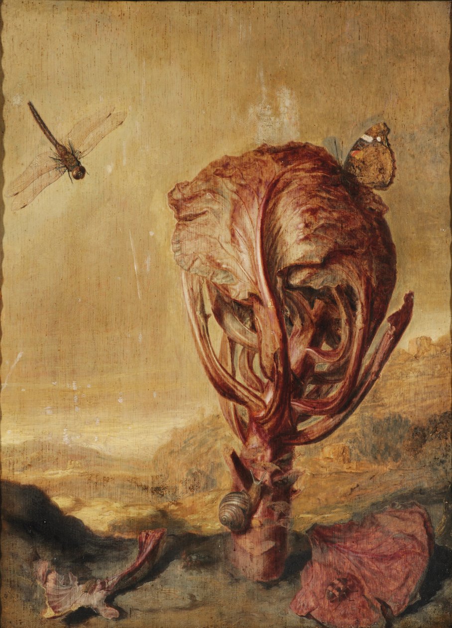 Bir manzarada kırmızı lahana, salyangoz, kelebek, yusufçuk, arı ve tahta biti by Margarethe de Heer