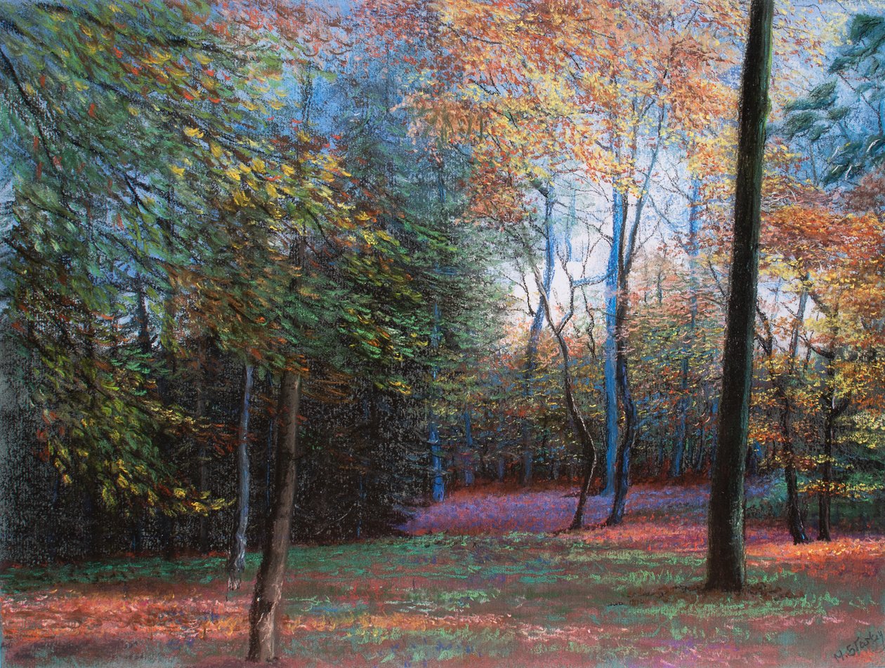 Ormanda Sonbahar, 1999 (pastel) by Margo Starkey