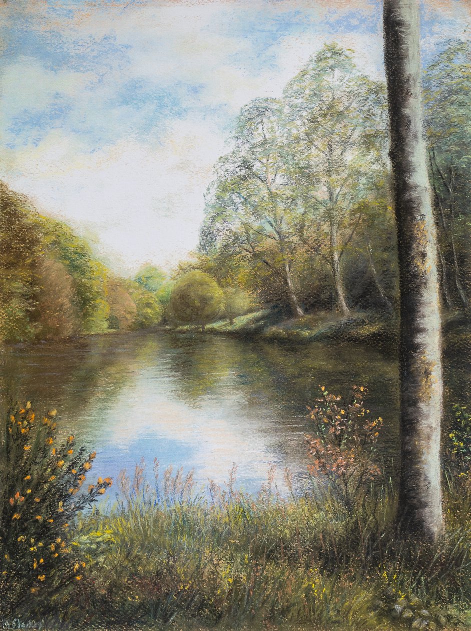 Dart Nehri Devon by Margo Starkey