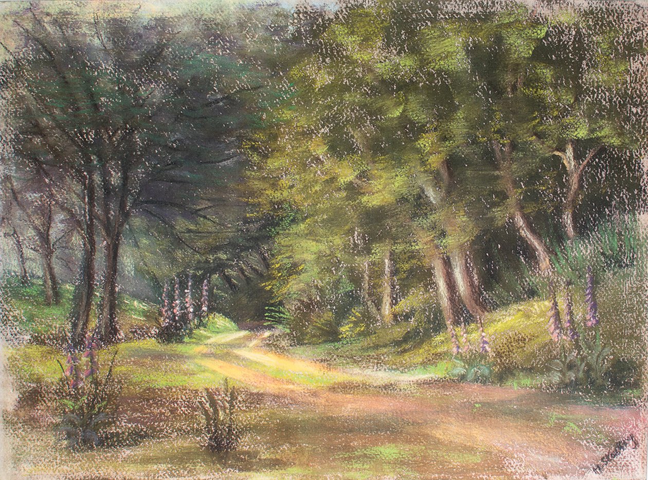 Ormanda Yürüyüş, Somerset, 1995 (pastel) by Margo Starkey