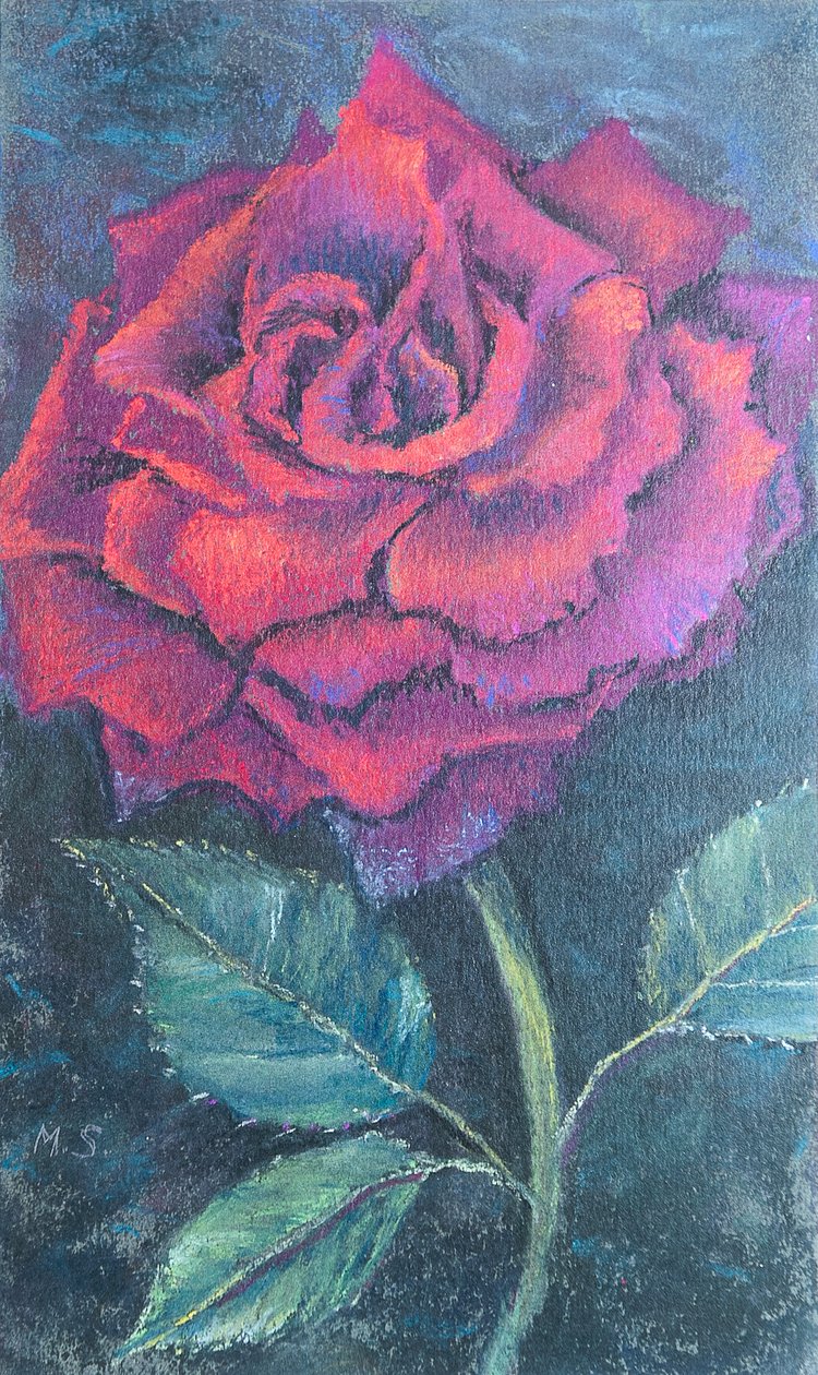 Gülün güzelliği, 2020 (pastel) by Margo Starkey
