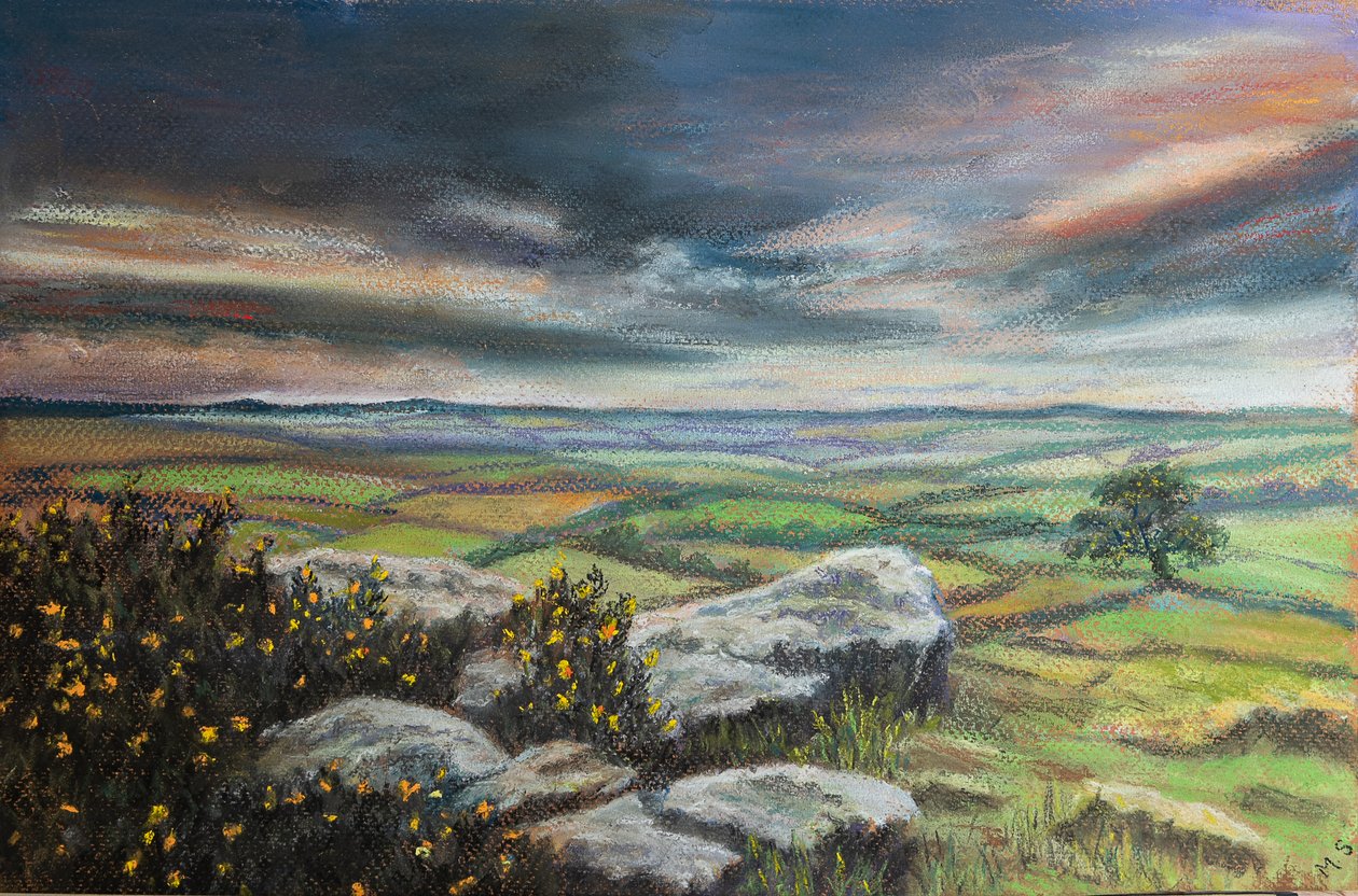 Dartmoor.S.Devon, 2020 (pastel) by Margo Starkey