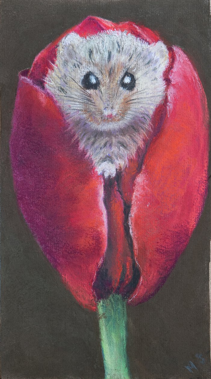 Lale içinde kapı faresi, 2022 (pastel) by Margo Starkey