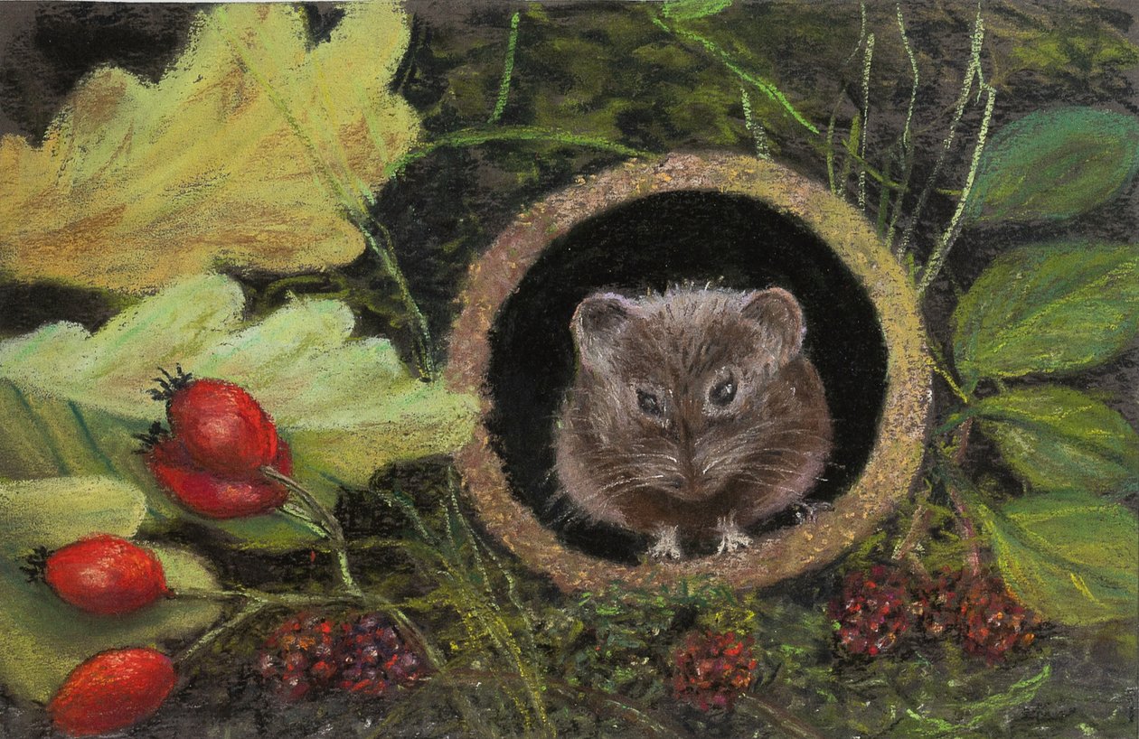 Drenaj borusundaki tarla faresi, 2020 (pastel) by Margo Starkey