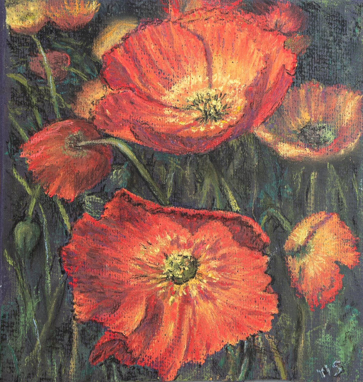 İlk haşhaş, 2020 (pastel) by Margo Starkey