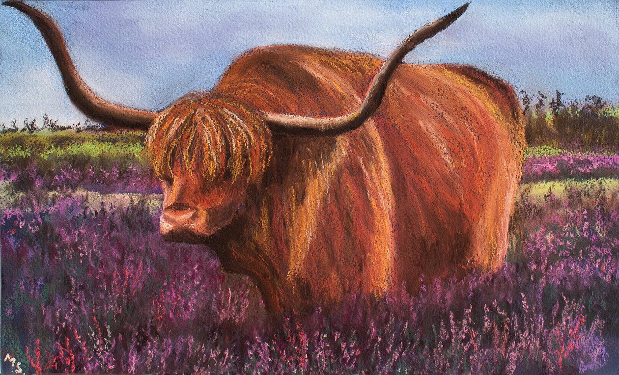 İskoç Heather