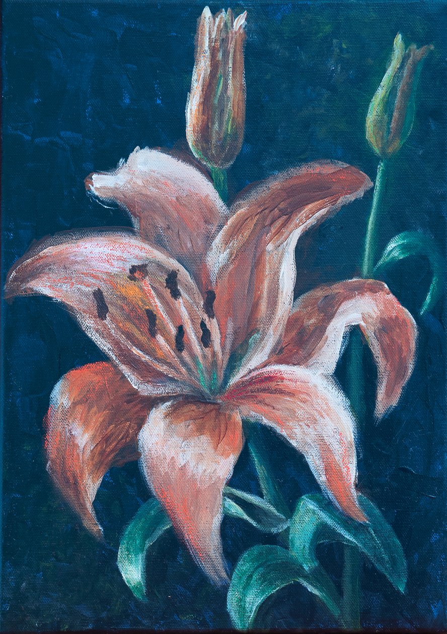 Turuncu Zambak, 2022 (pastel) by Margo Starkey