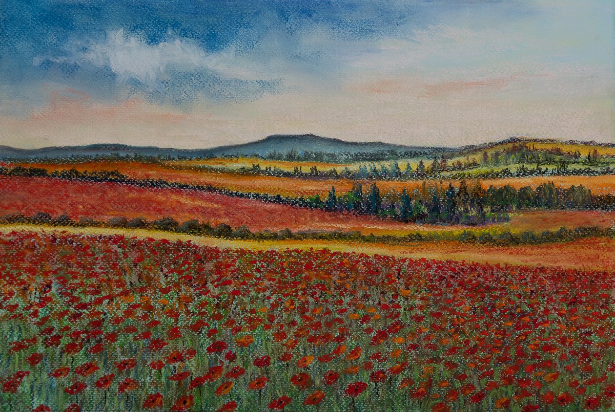 Haşhaş tarlaları.. Flandre, 2020 (pastel) by Margo Starkey