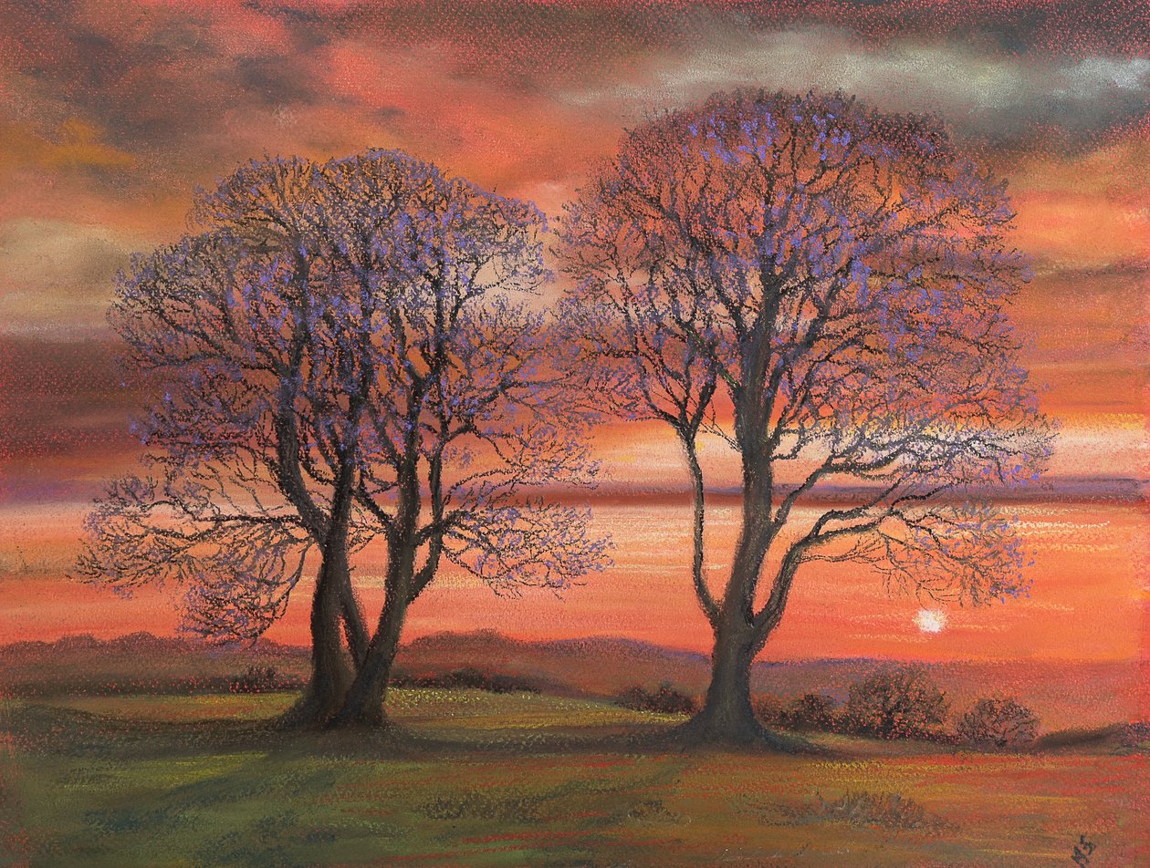 Ağaçların arasından güneş ışığı, 2020 (pastel) by Margo Starkey