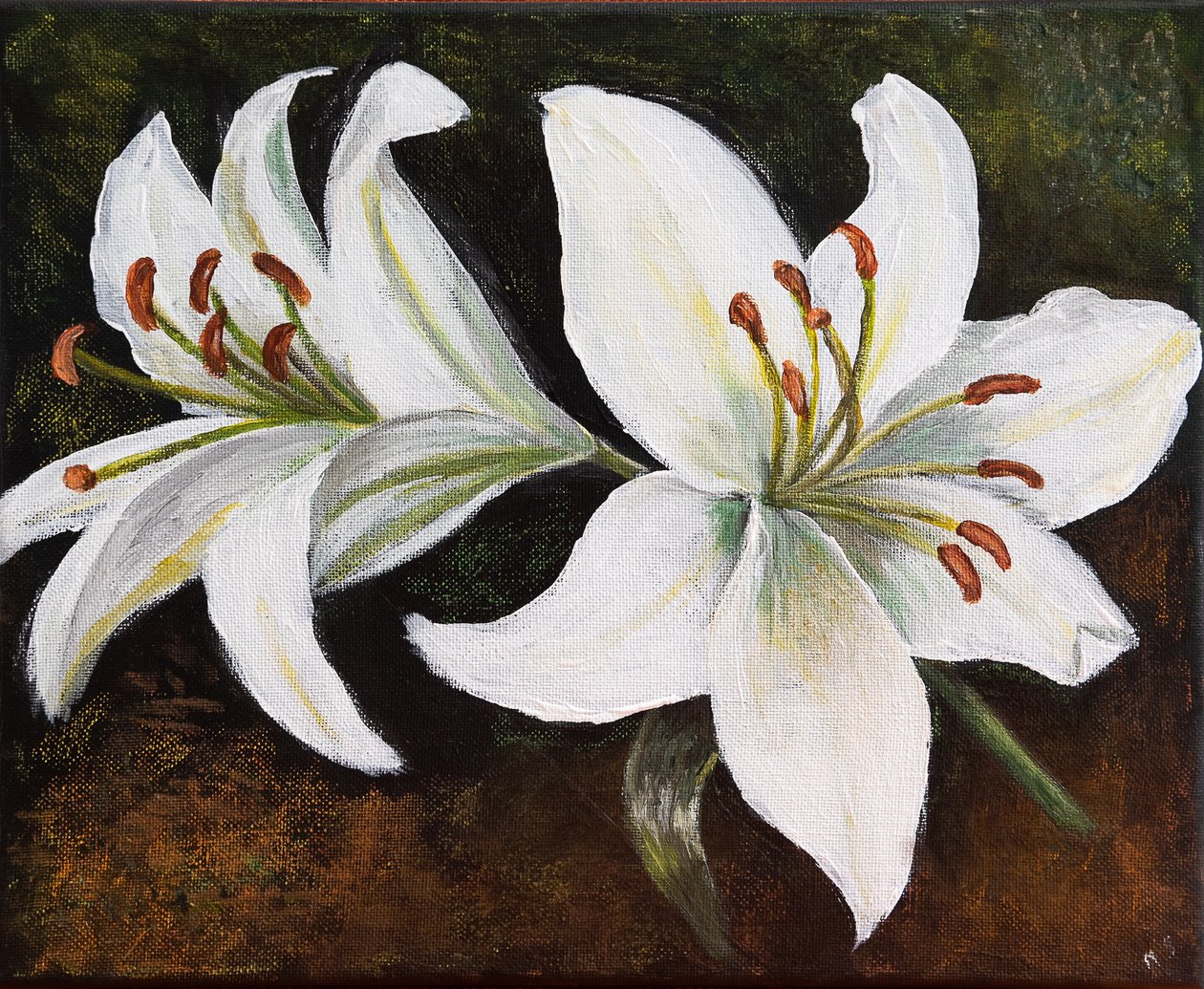 Beyaz Zambak, 2022 (pastel) by Margo Starkey