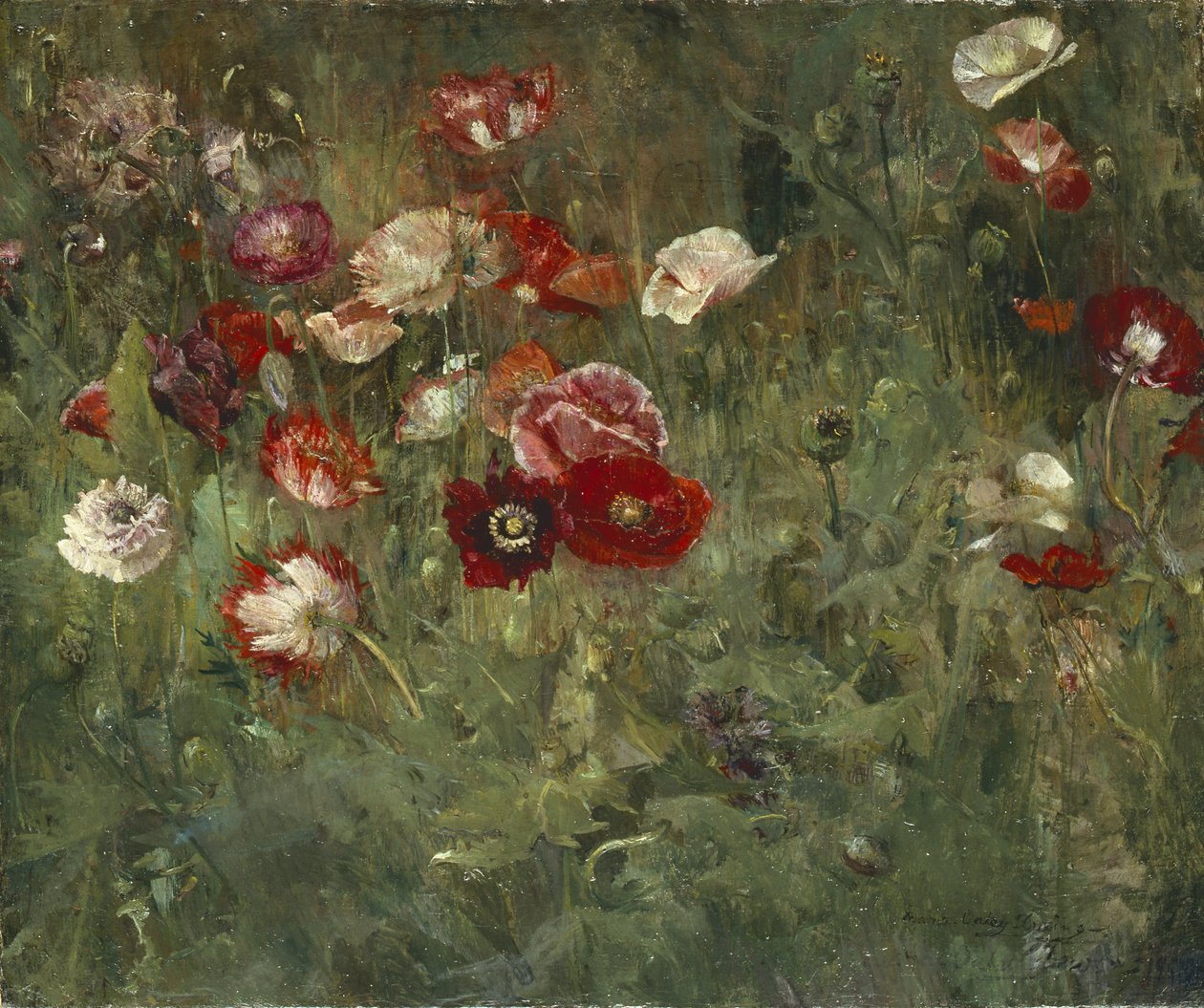 Bir Haşhaş Yatağı, 1909 by Maria Oakey Dewing