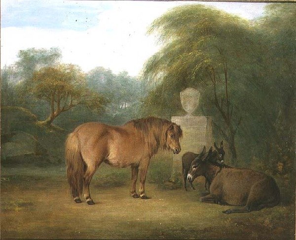 Kayranda Midilli ve Eşekler by Maria Spilsbury