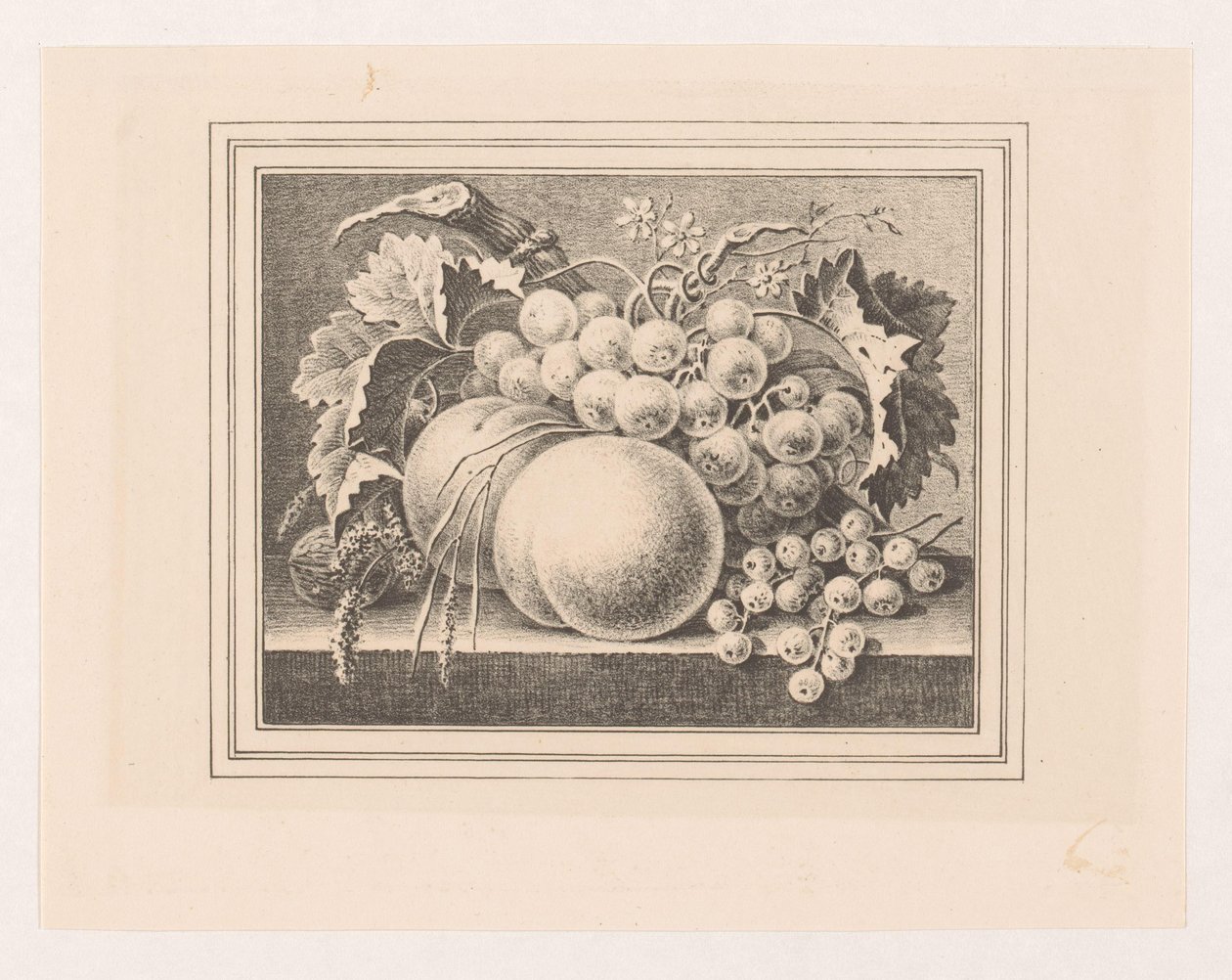 Bir çerçeve içinde meyve ile kompozisyon by Maria Geertruida de Goeje Barbiers (attributed to)