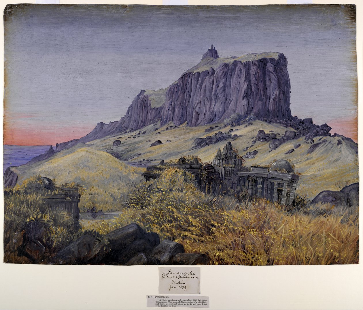 yel değirmeni by Marianne North
