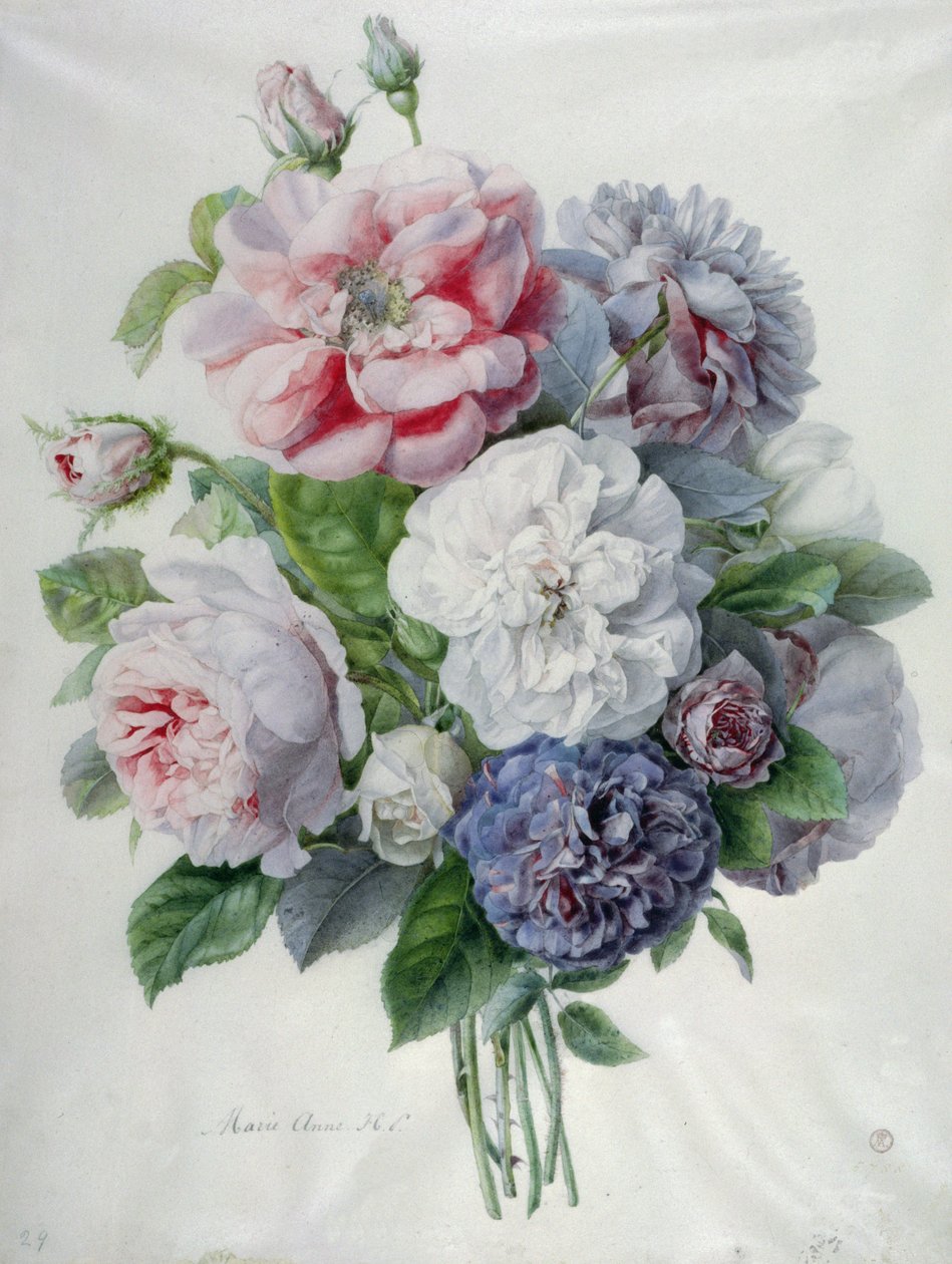 Çiçek Parçaları by Marie Anne