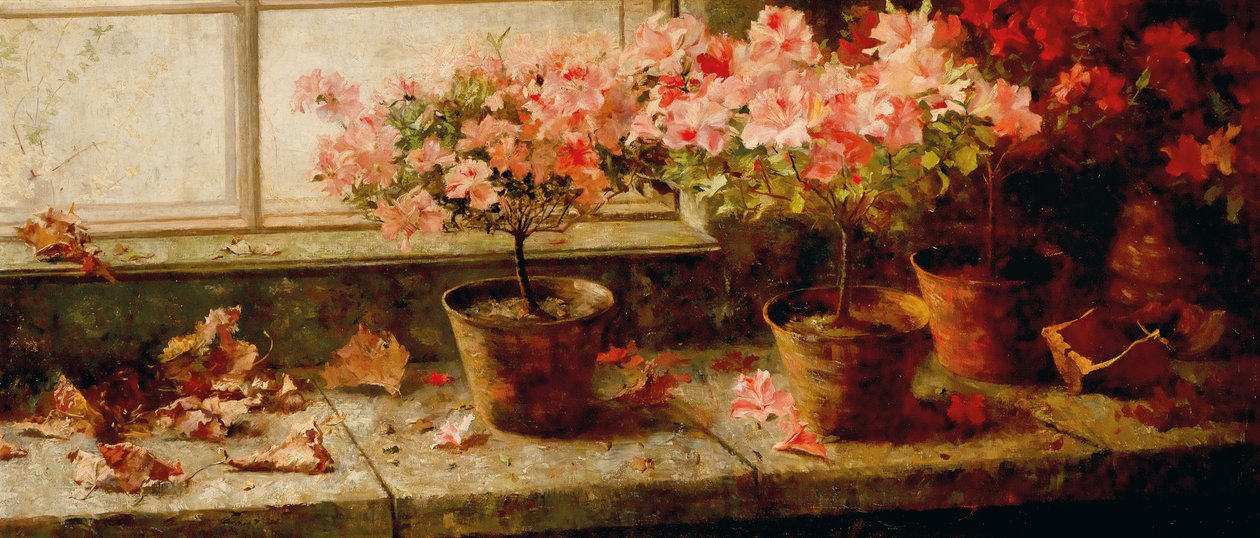 Azaleenstocke am Fenster İngilizce: Pencerenin Yanında Çiçek Açan Açelyalar by Marie Egner