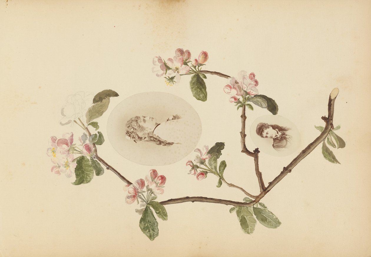 Madam B Albümü by Marie Blanche Hennelle Fournier