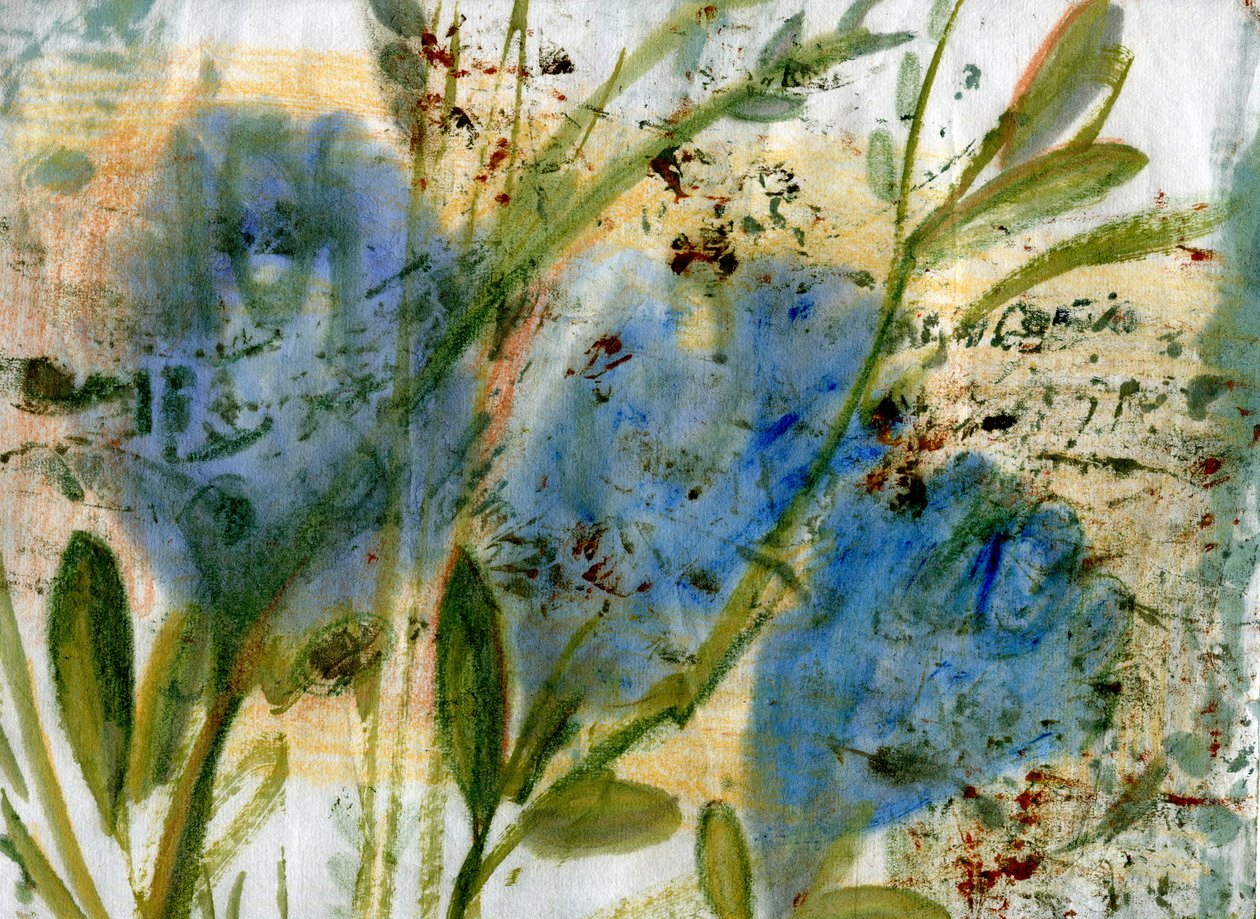  by Marina Falco