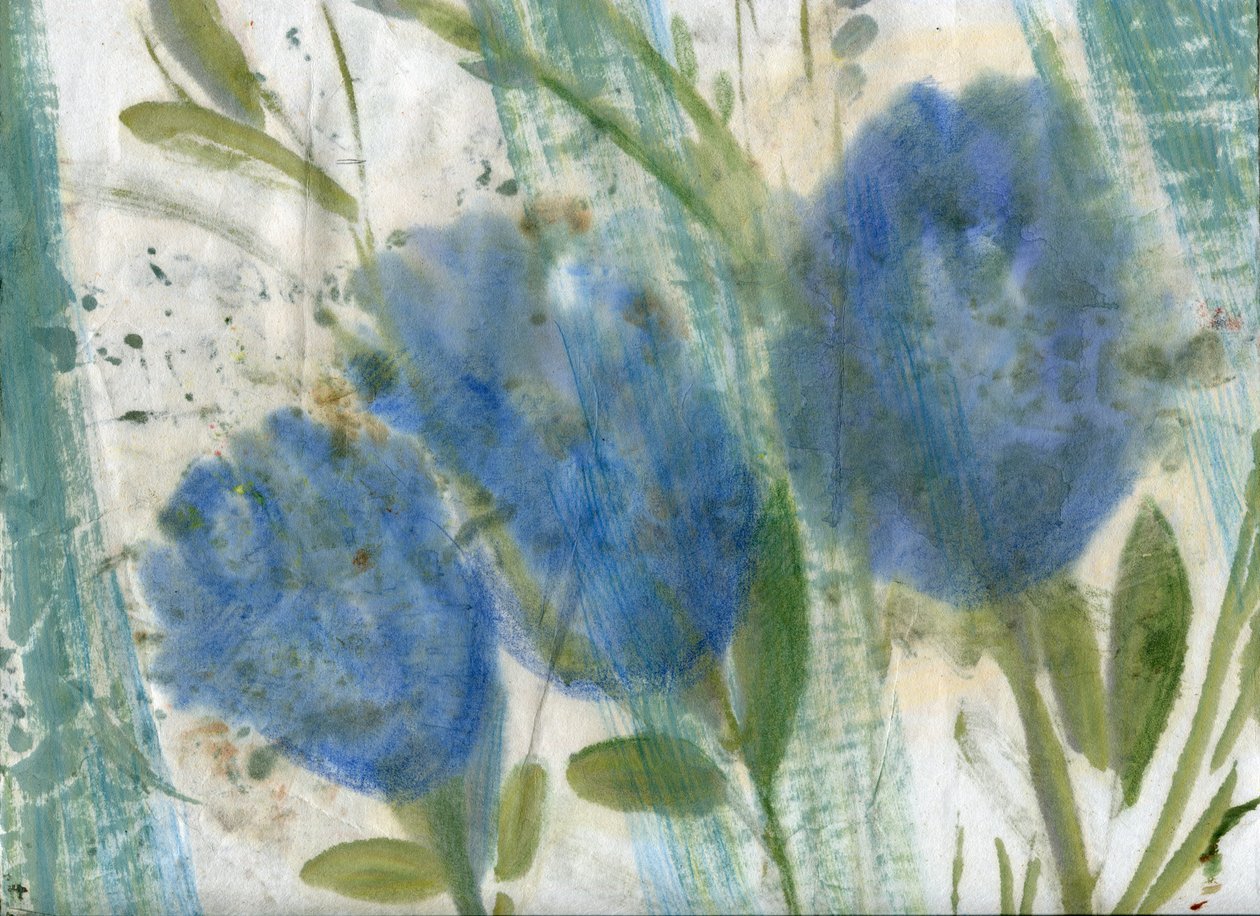  by Marina Falco