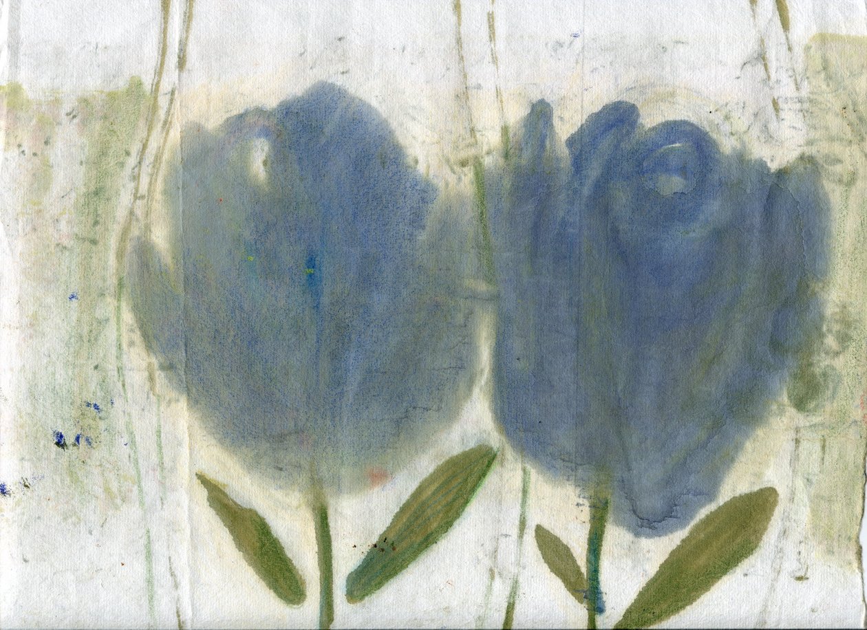  by Marina Falco