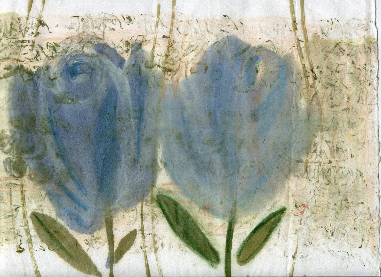  by Marina Falco