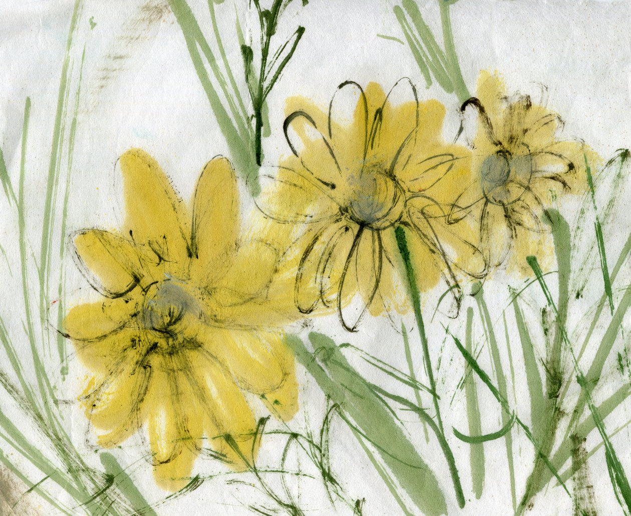  by Marina Falco