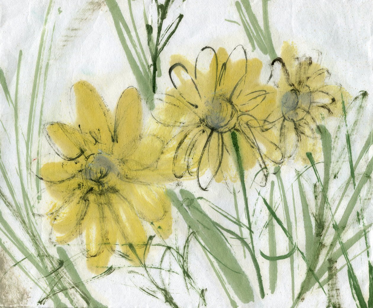  by Marina Falco