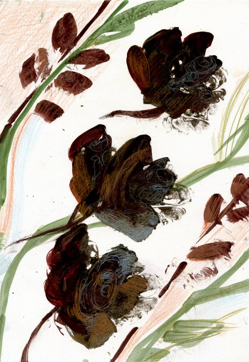  by Marina Falco