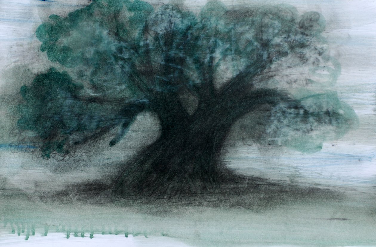  by Marina Falco