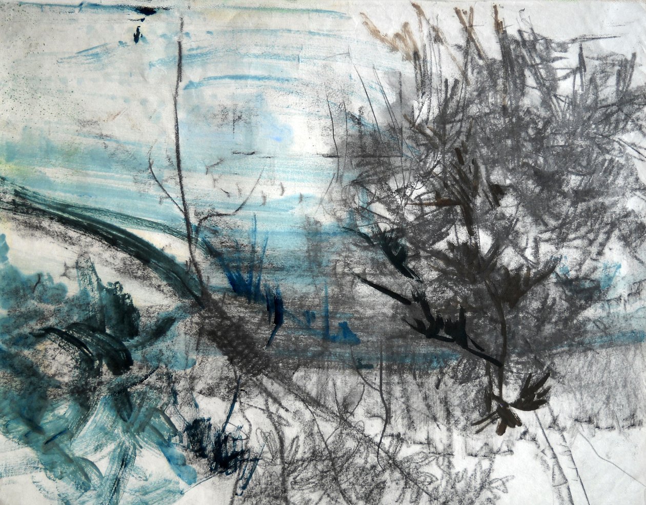  by Marina Falco